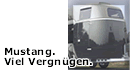 Das Pferd bestimmt das Design