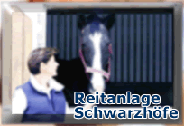 Reitanlage Schwarzhfe